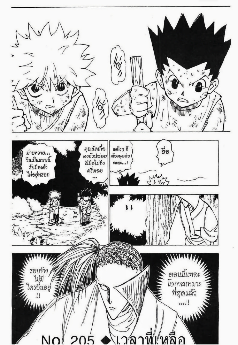 อ่านมังงะ Hunter x Hunter ตอนที่ 205/0.jpg