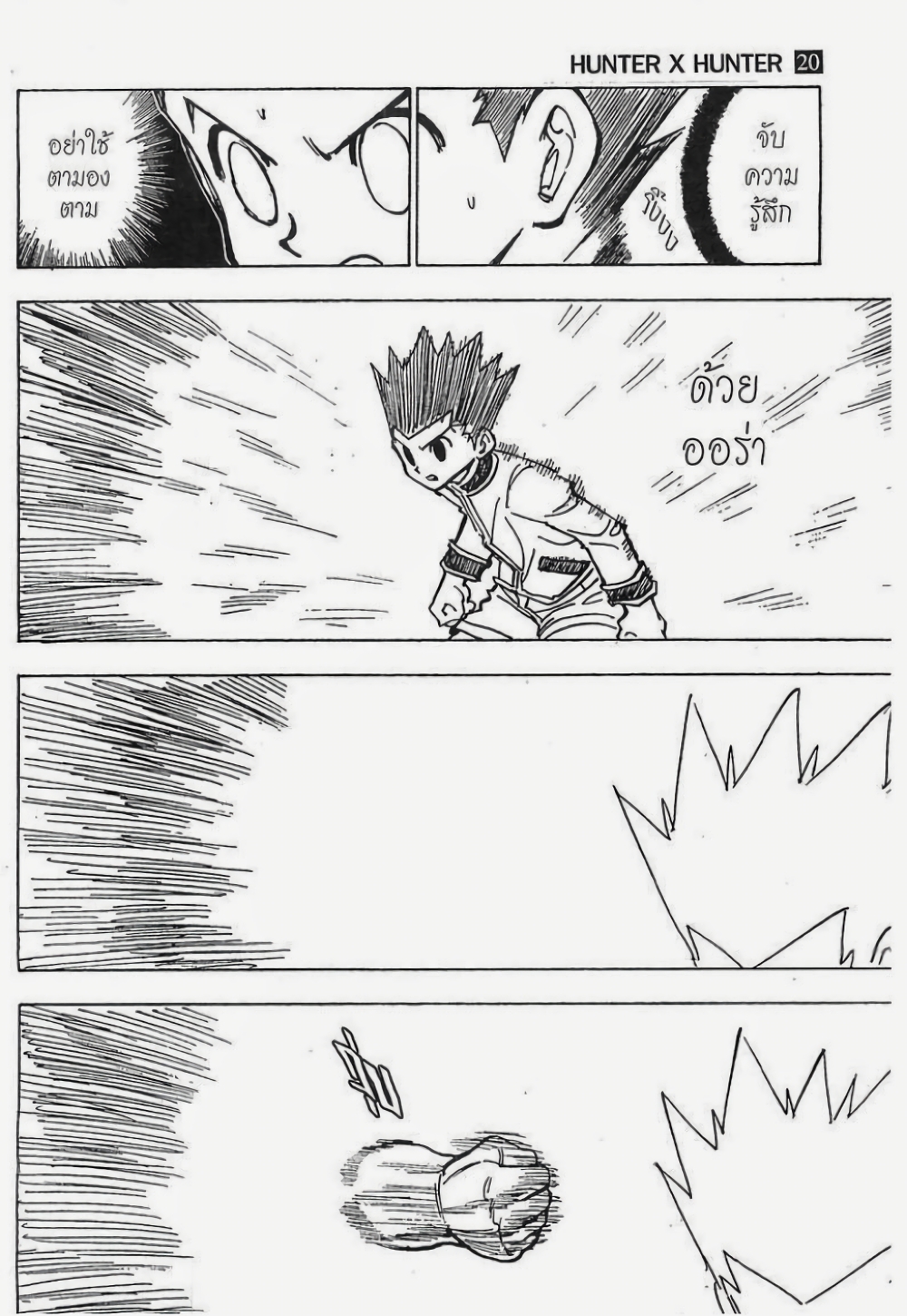 อ่านมังงะ Hunter x Hunter ตอนที่ 210/10.jpg