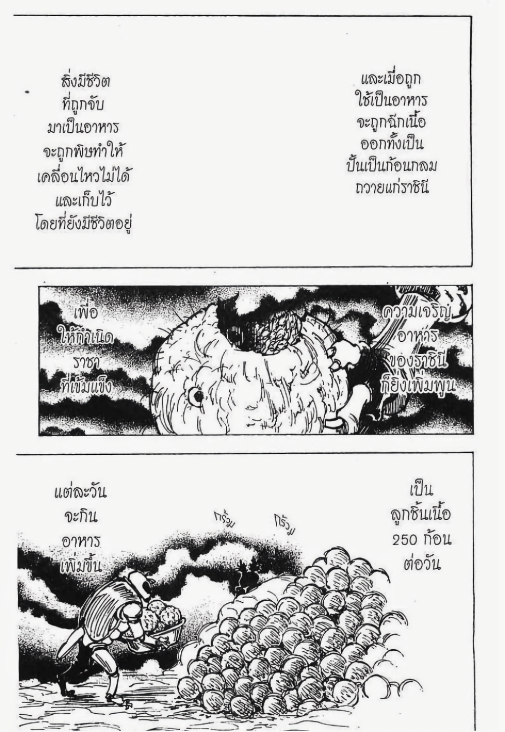 อ่านมังงะ Hunter x Hunter ตอนที่ 197/10.jpg