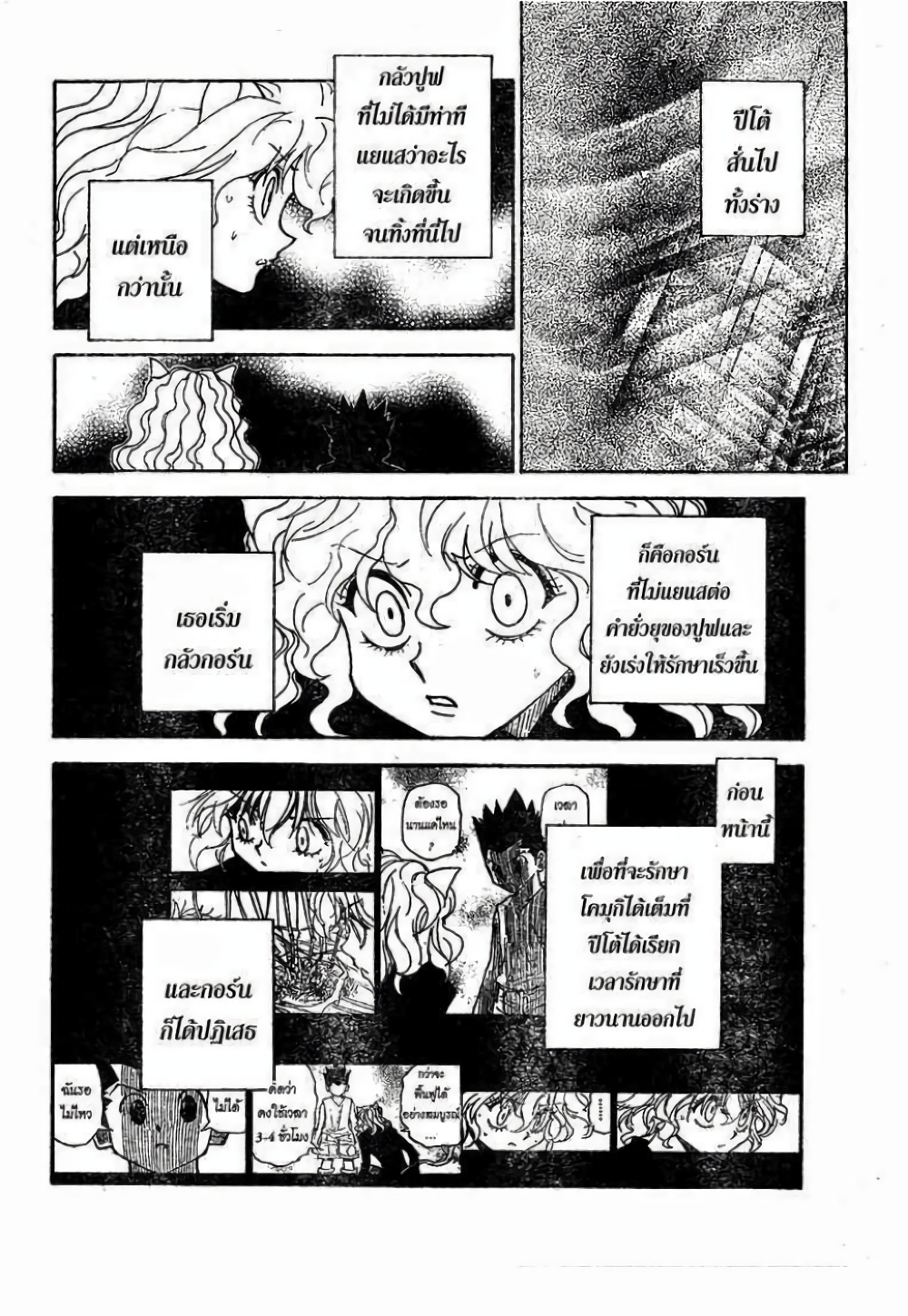 อ่านมังงะ Hunter x Hunter ตอนที่ 295/11.jpg