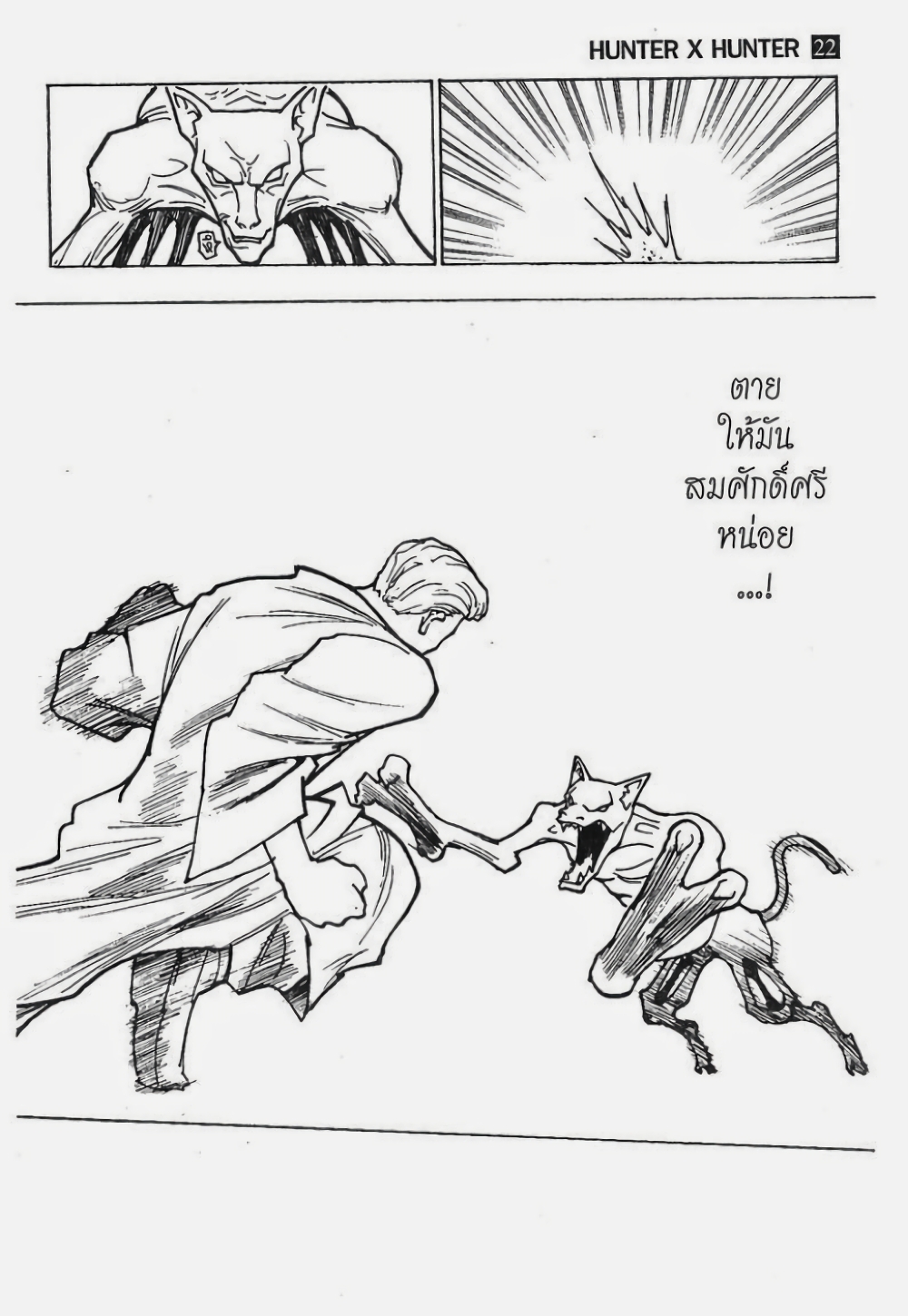 อ่านมังงะ Hunter x Hunter ตอนที่ 229/12.jpg