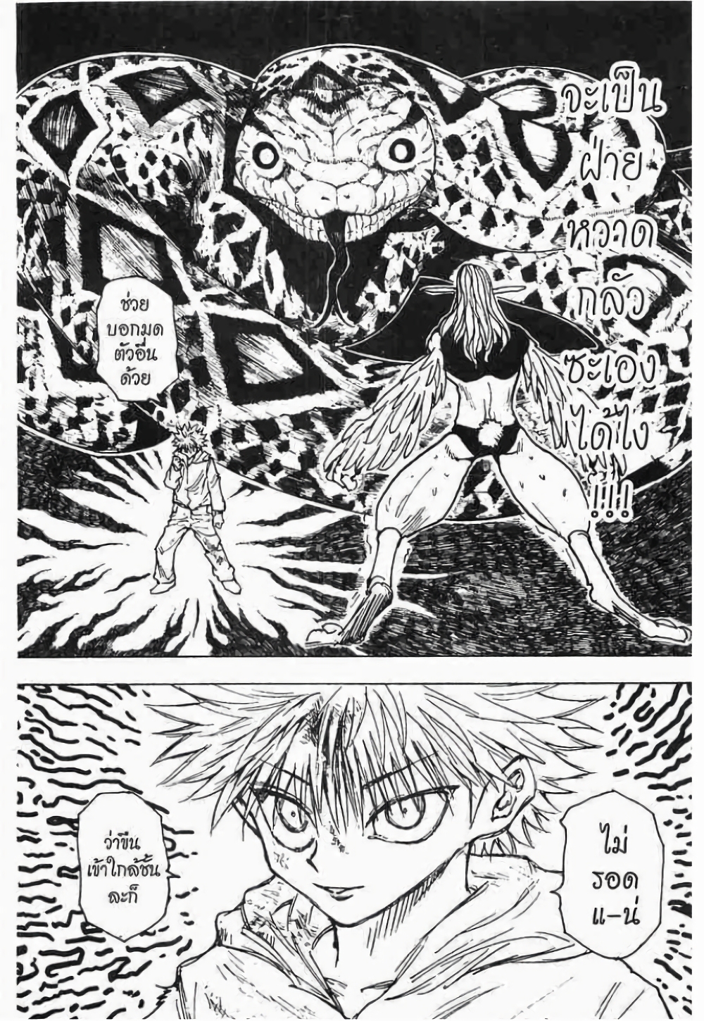 อ่านมังงะ Hunter x Hunter ตอนที่ 219/12.jpg