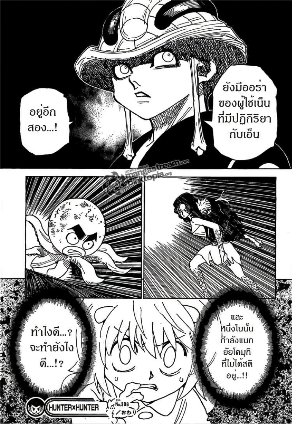 อ่านมังงะ Hunter x Hunter ตอนที่ 308/16.jpg