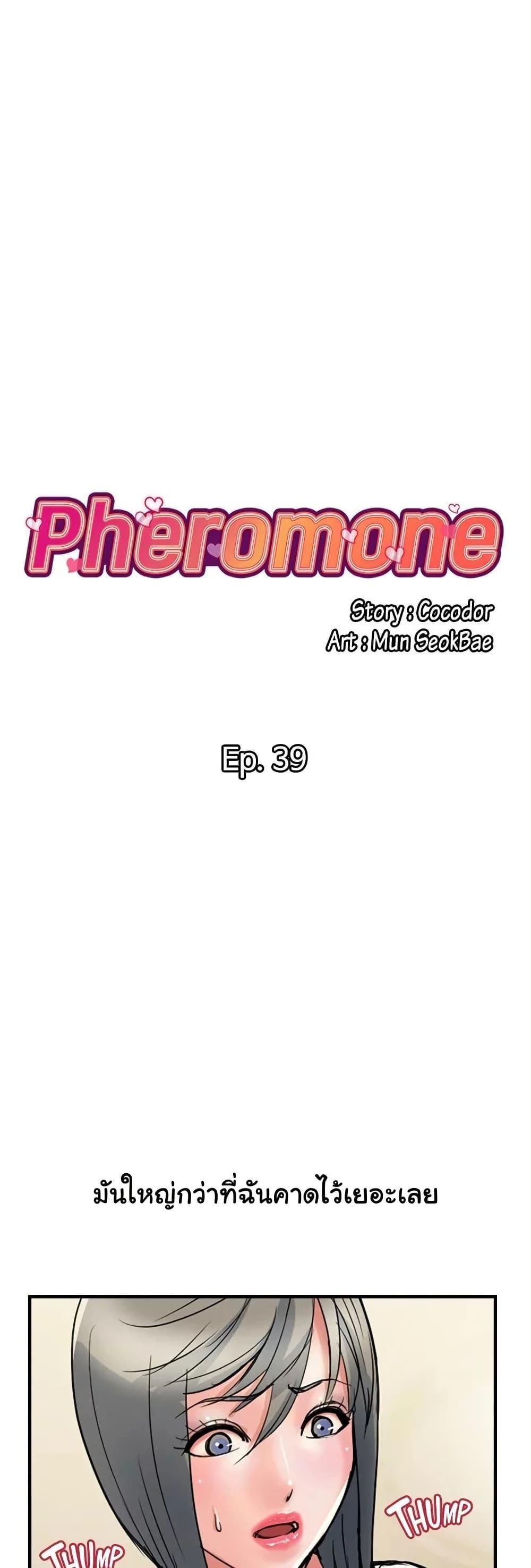 อ่านมังงะ Pheromones ตอนที่ 39/0.jpg