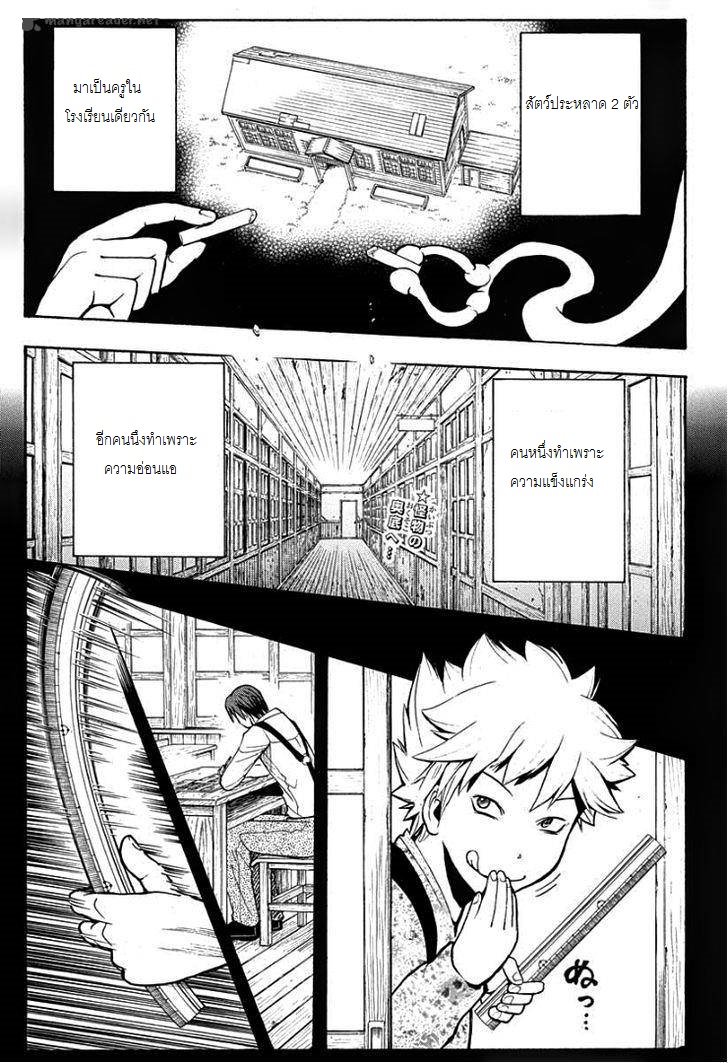 อ่านมังงะใหม่ ก่อนใคร สปีดมังงะ speed-manga.com